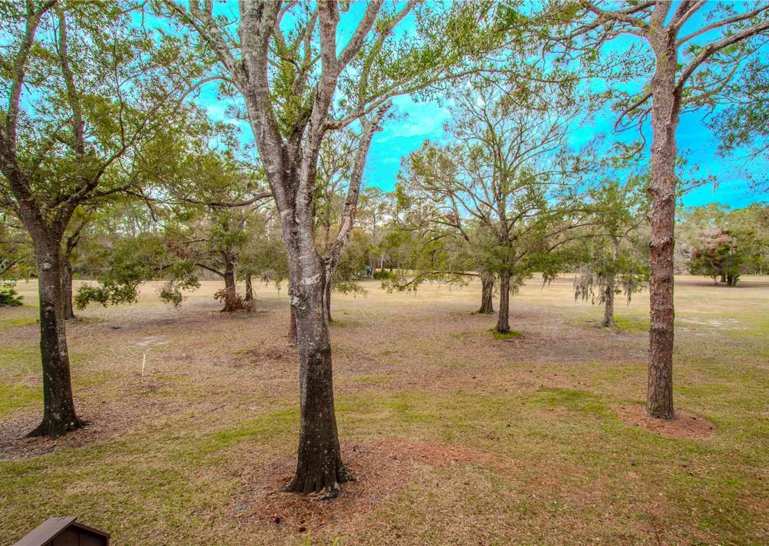 3505 Tarpon Woods Boulevard #K409, PALM HARBOR, Florida image 18