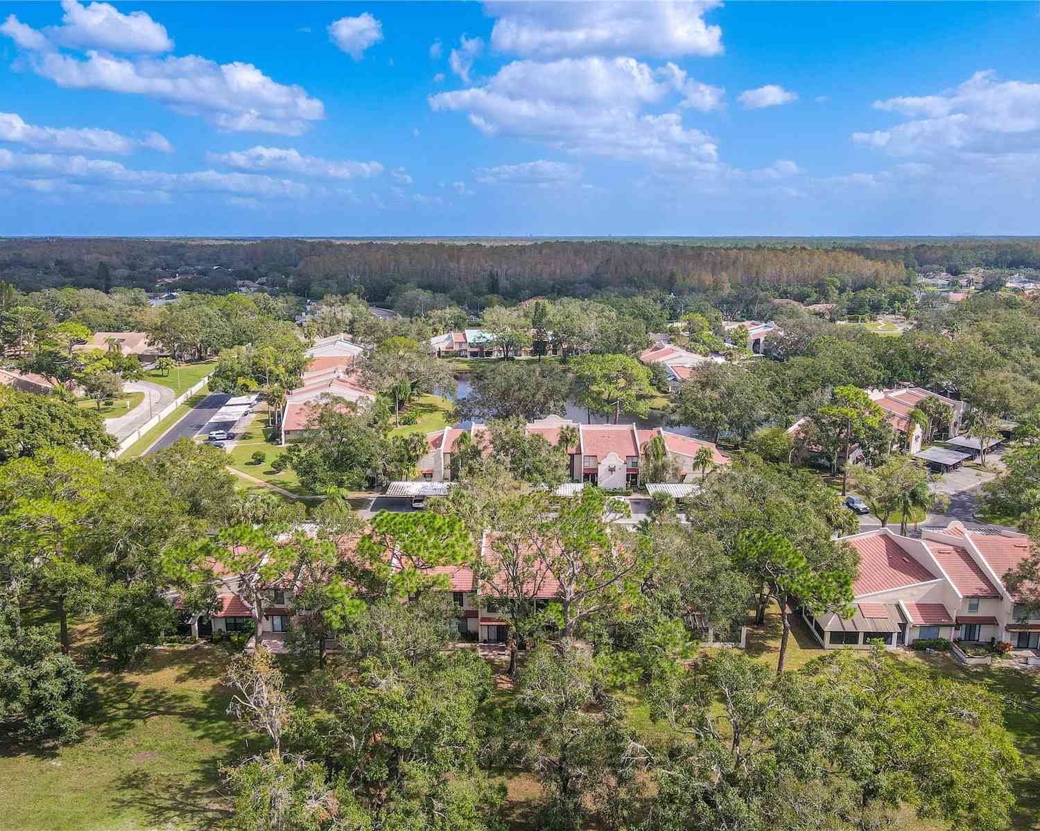 3505 Tarpon Woods Boulevard #K409, PALM HARBOR, Florida image 42