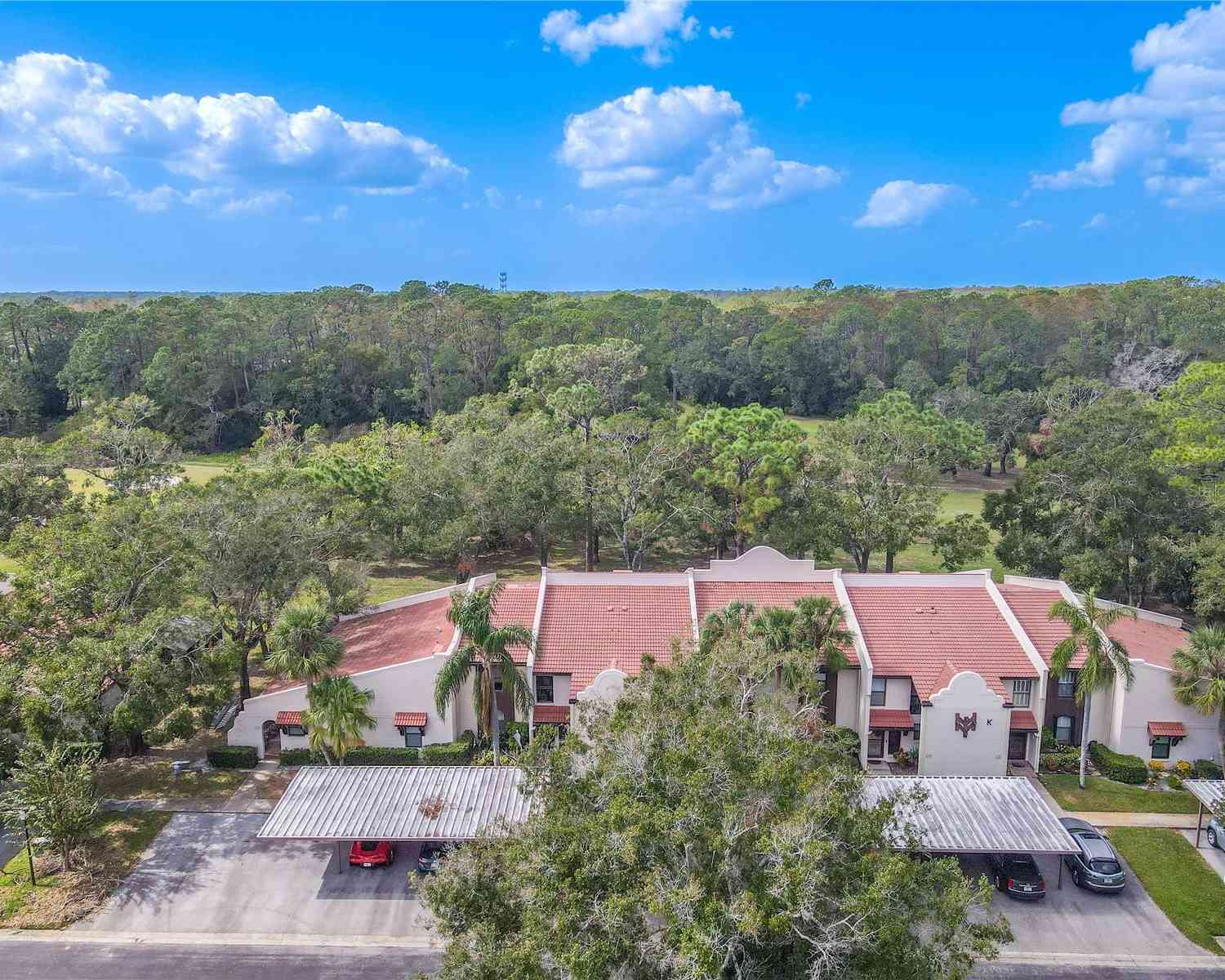 3505 Tarpon Woods Boulevard #K409, PALM HARBOR, Florida image 40