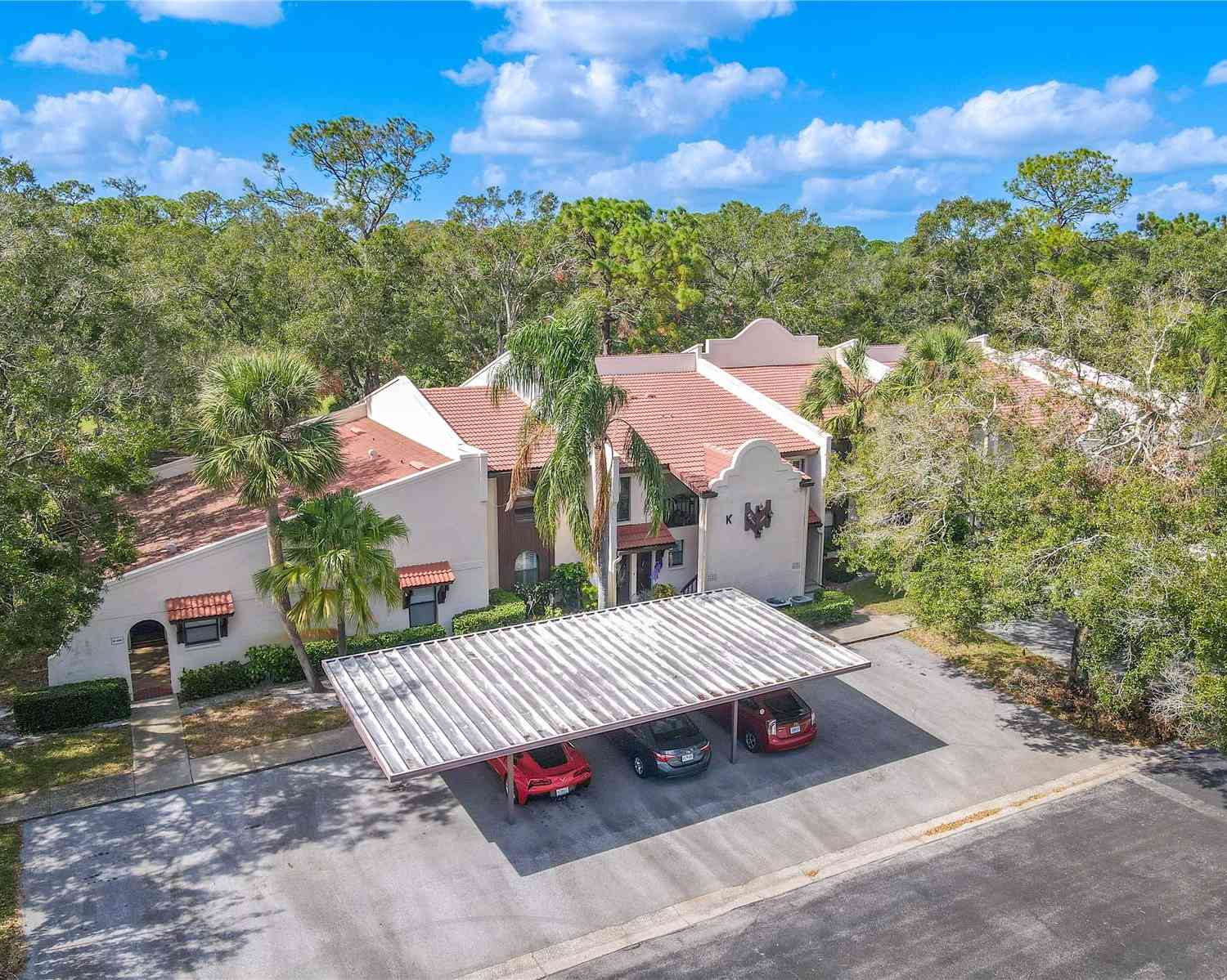 3505 Tarpon Woods Boulevard #K409, PALM HARBOR, Florida image 4