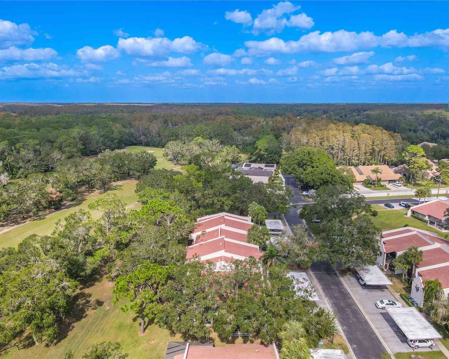 3505 Tarpon Woods Boulevard #K409, PALM HARBOR, Florida image 41