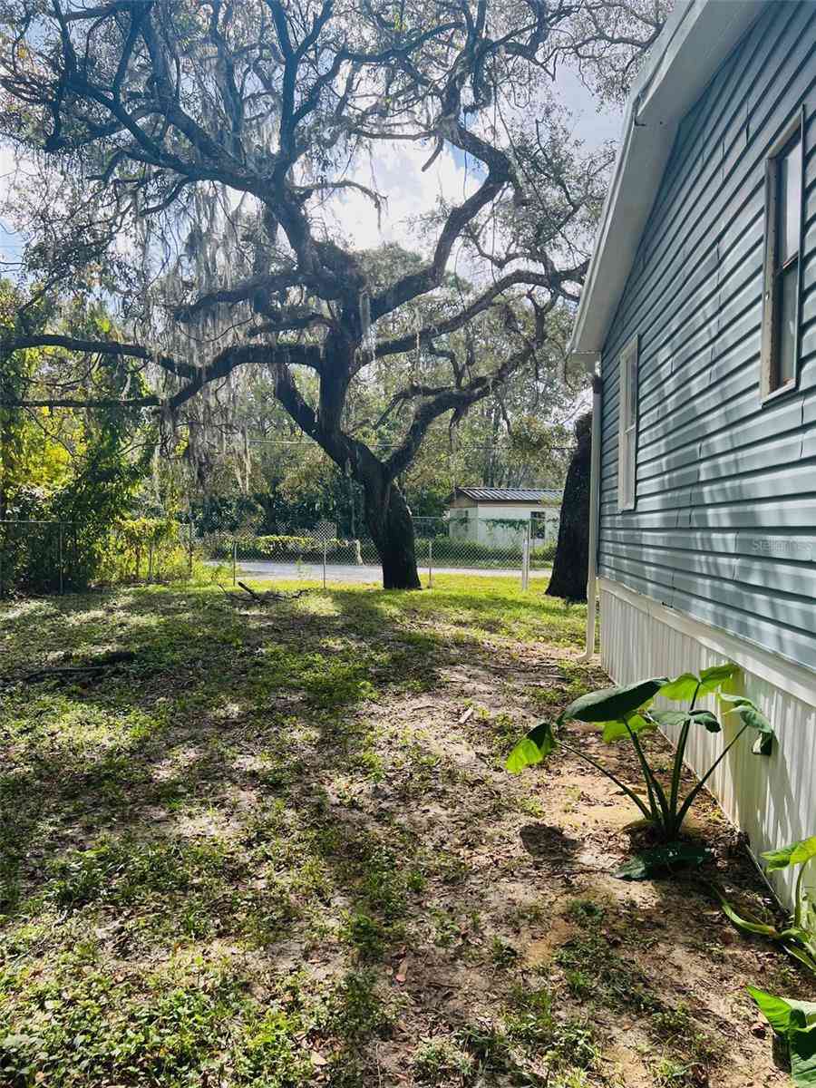 10642 Shalimar Street, New Port Richey, Florida image 27