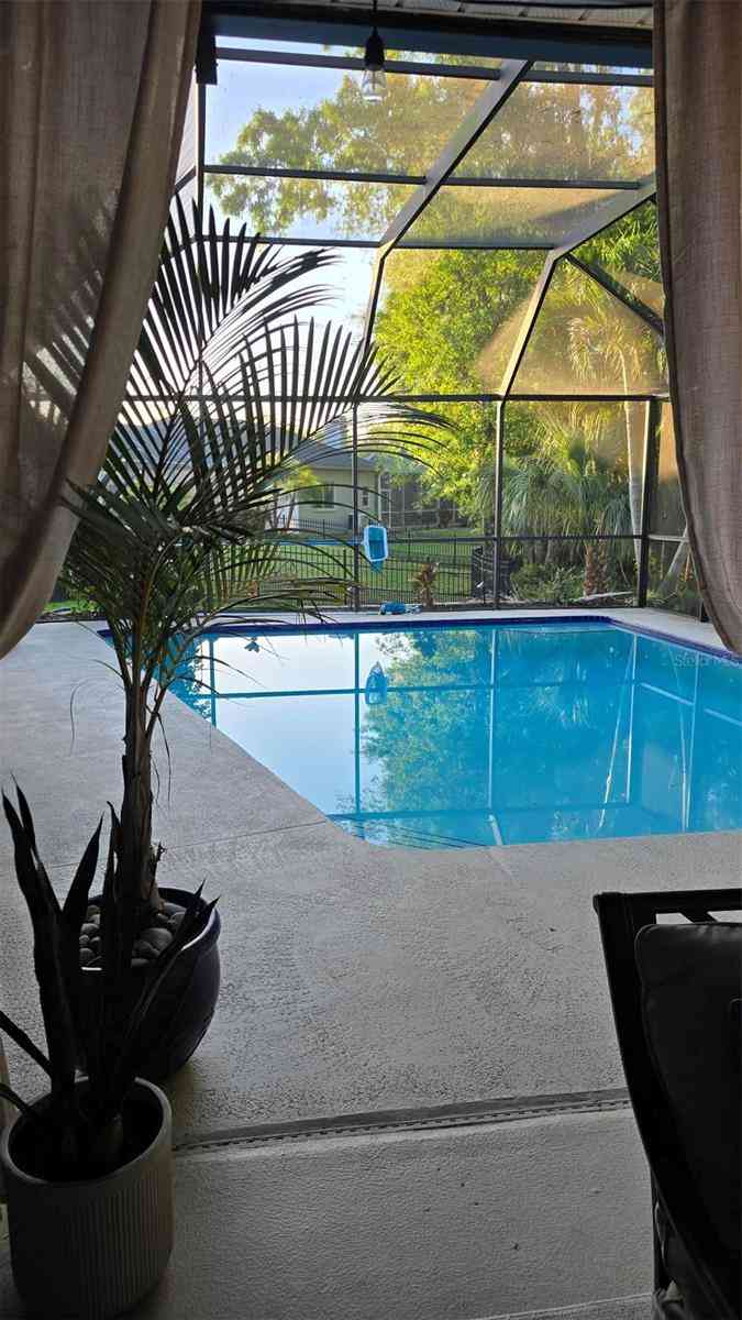 5476 Oakridge Drive, PALM HARBOR, Florida image 37