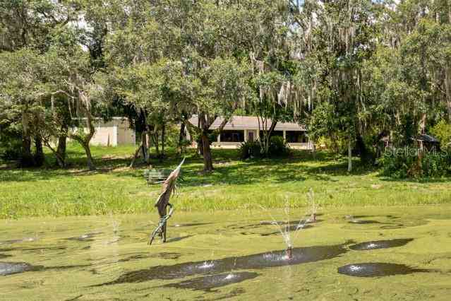 17017 Marsh Road, WINTER GARDEN, Florida image 45