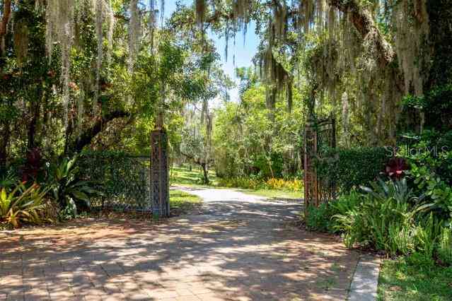 17017 Marsh Road, WINTER GARDEN, Florida image 44