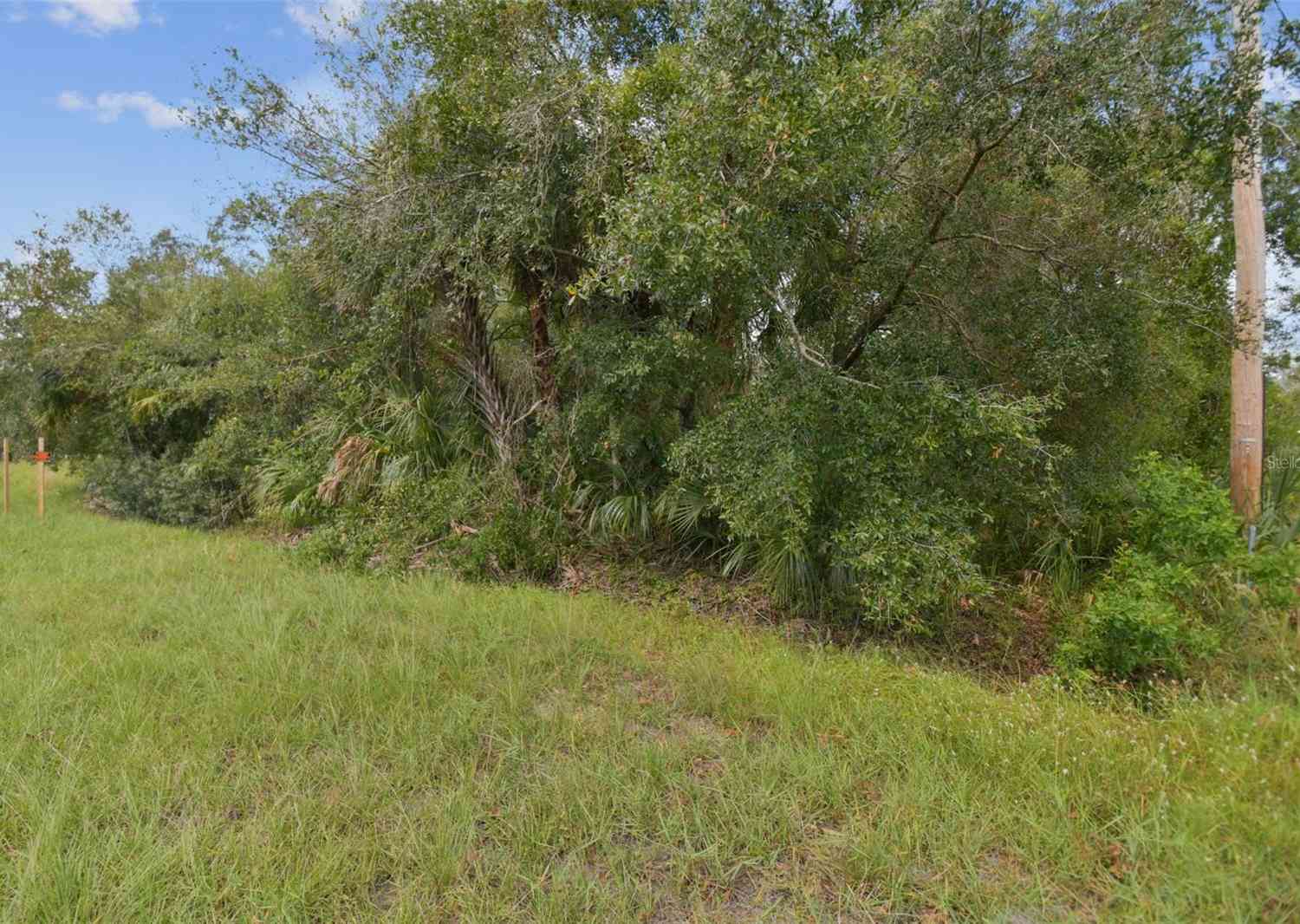 1619 Butch Cassidy Trail, WIMAUMA, Florida image 39