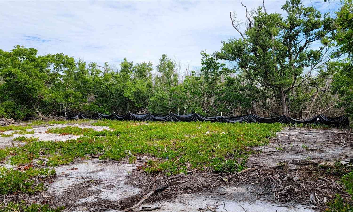 14039 Murdock Bayou, CAPTIVA, Florida image 12