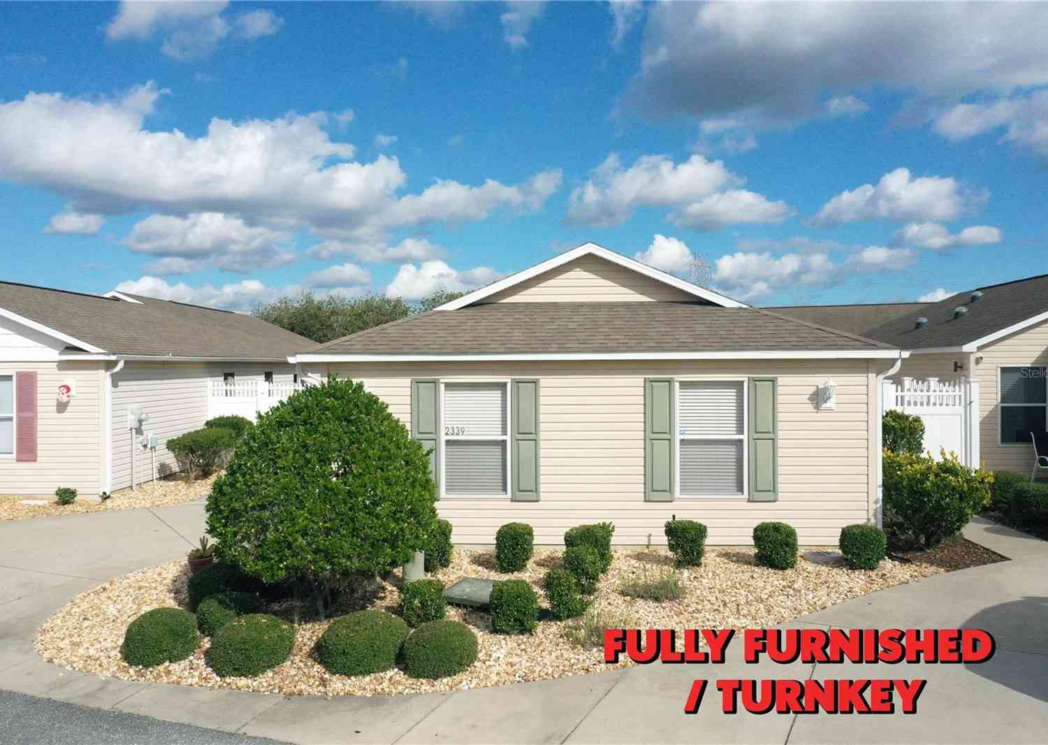 2339 Nehaul Terrace, THE VILLAGES, Florida image 1
