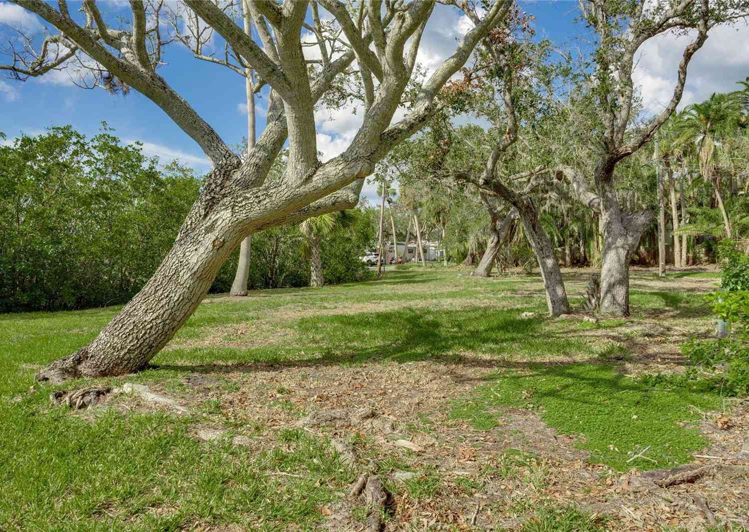 15106 Mary Street, LARGO, Florida image 11