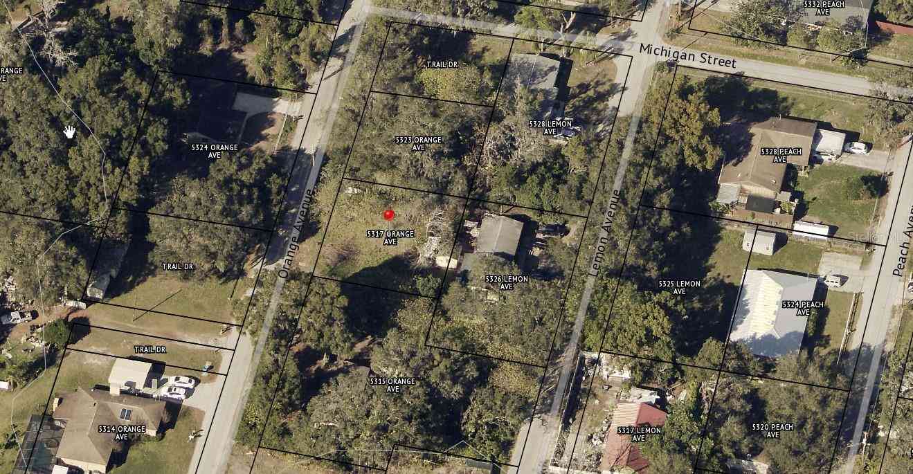 5317 Orange Avenue, SEFFNER, Florida image 12