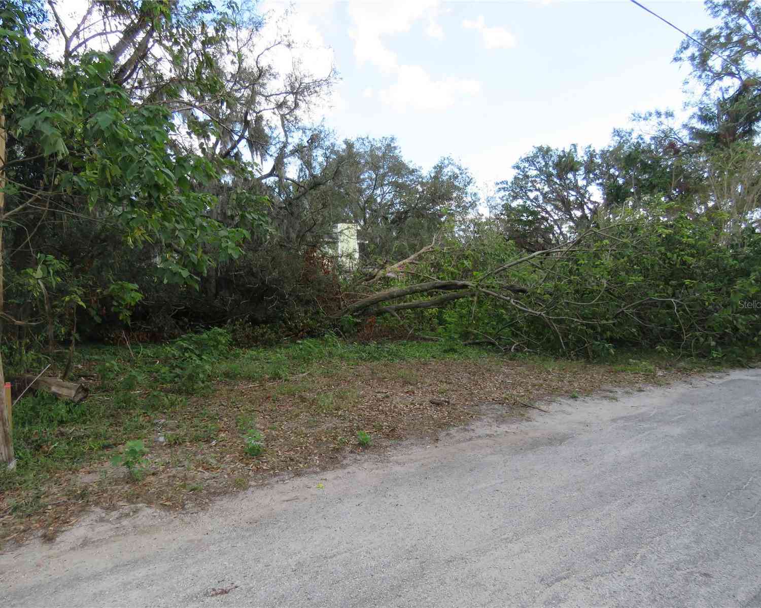 5317 Orange Avenue, SEFFNER, Florida image 3