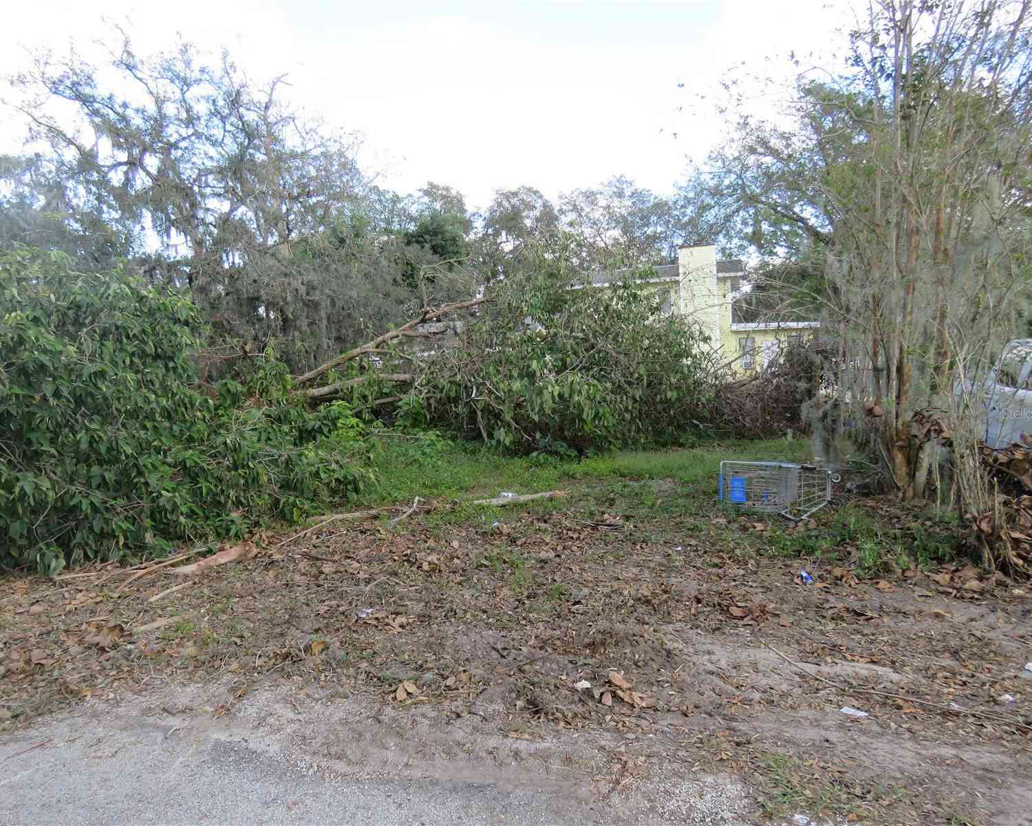 5317 Orange Avenue, SEFFNER, Florida image 9