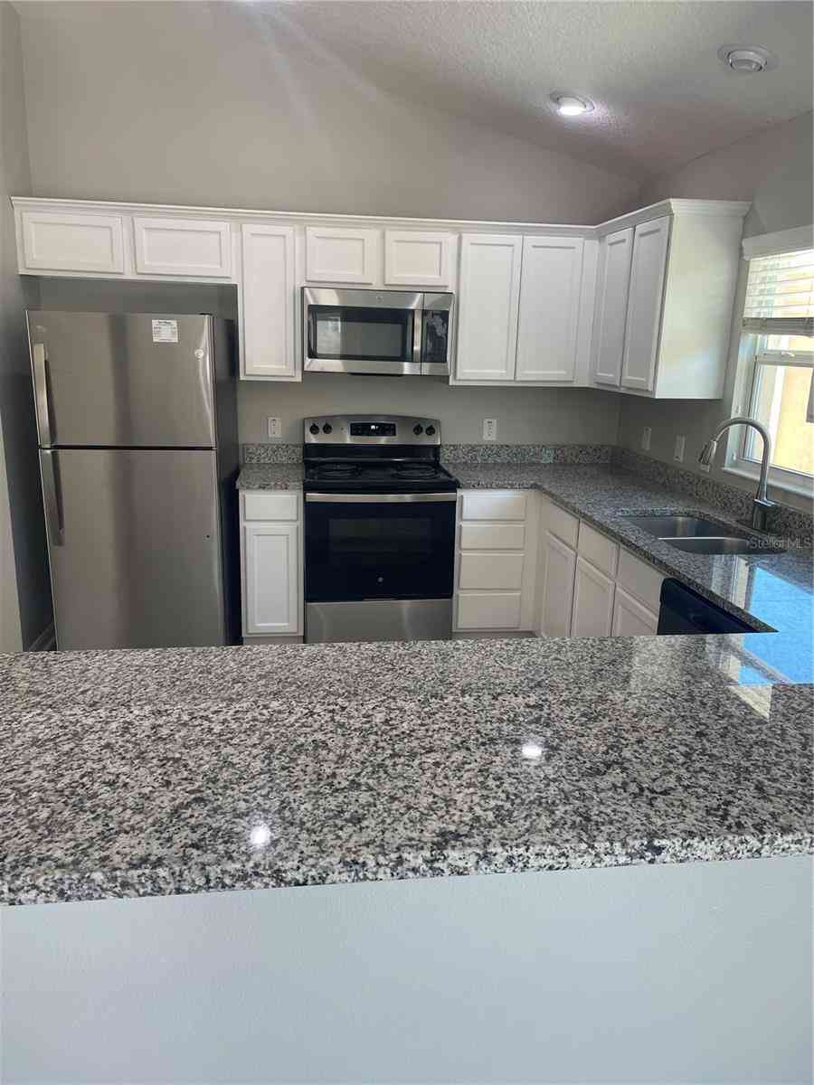 928 Nuthatch Avenue, THE VILLAGES, Florida image 7