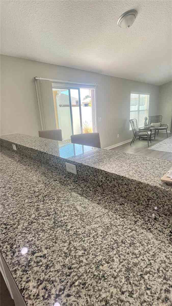 928 Nuthatch Avenue, THE VILLAGES, Florida image 9