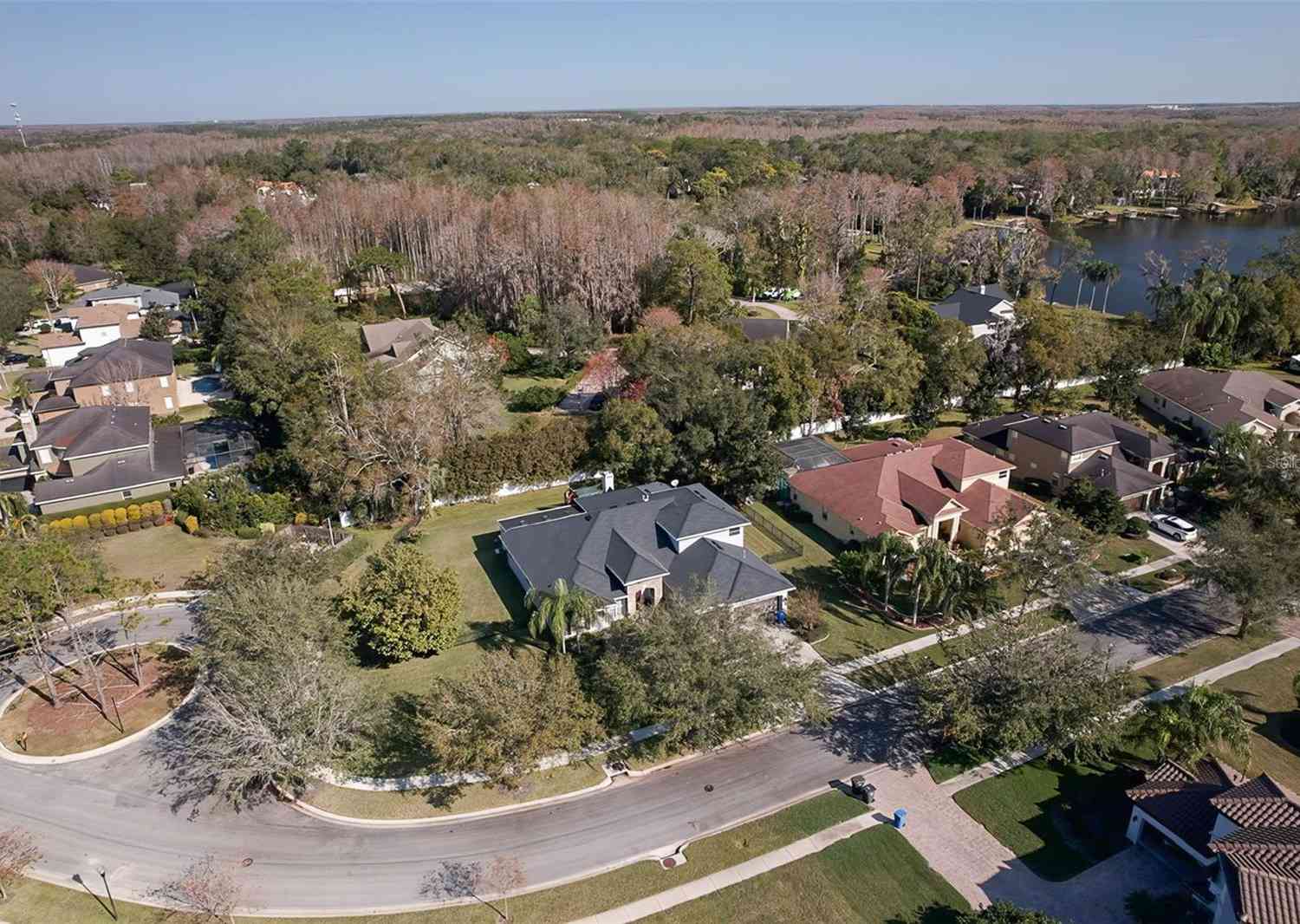 16623 Ashton Green Drive, LUTZ, Florida image 9