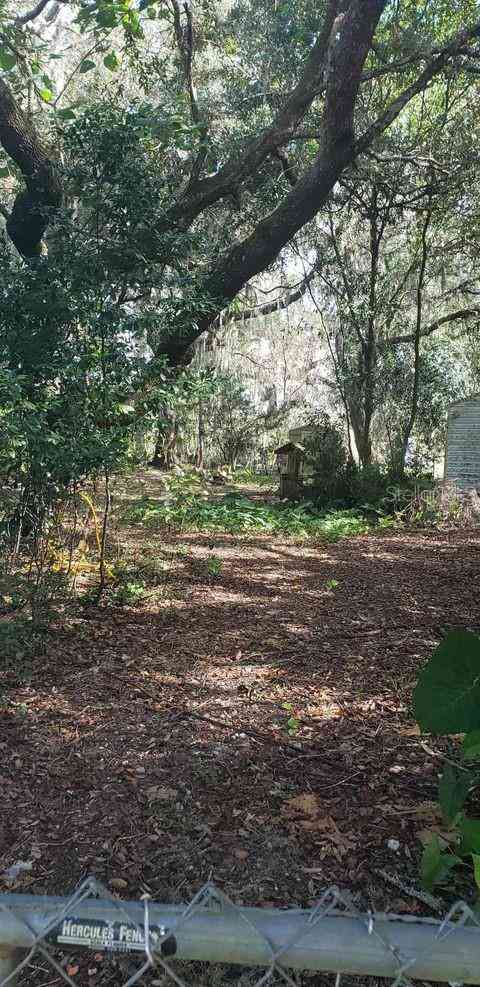 24971 NE 135th Street, SALT SPRINGS, Florida image 9