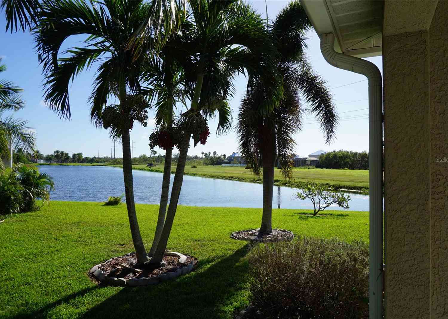 5911 Broad River Run, ELLENTON, Florida image 36