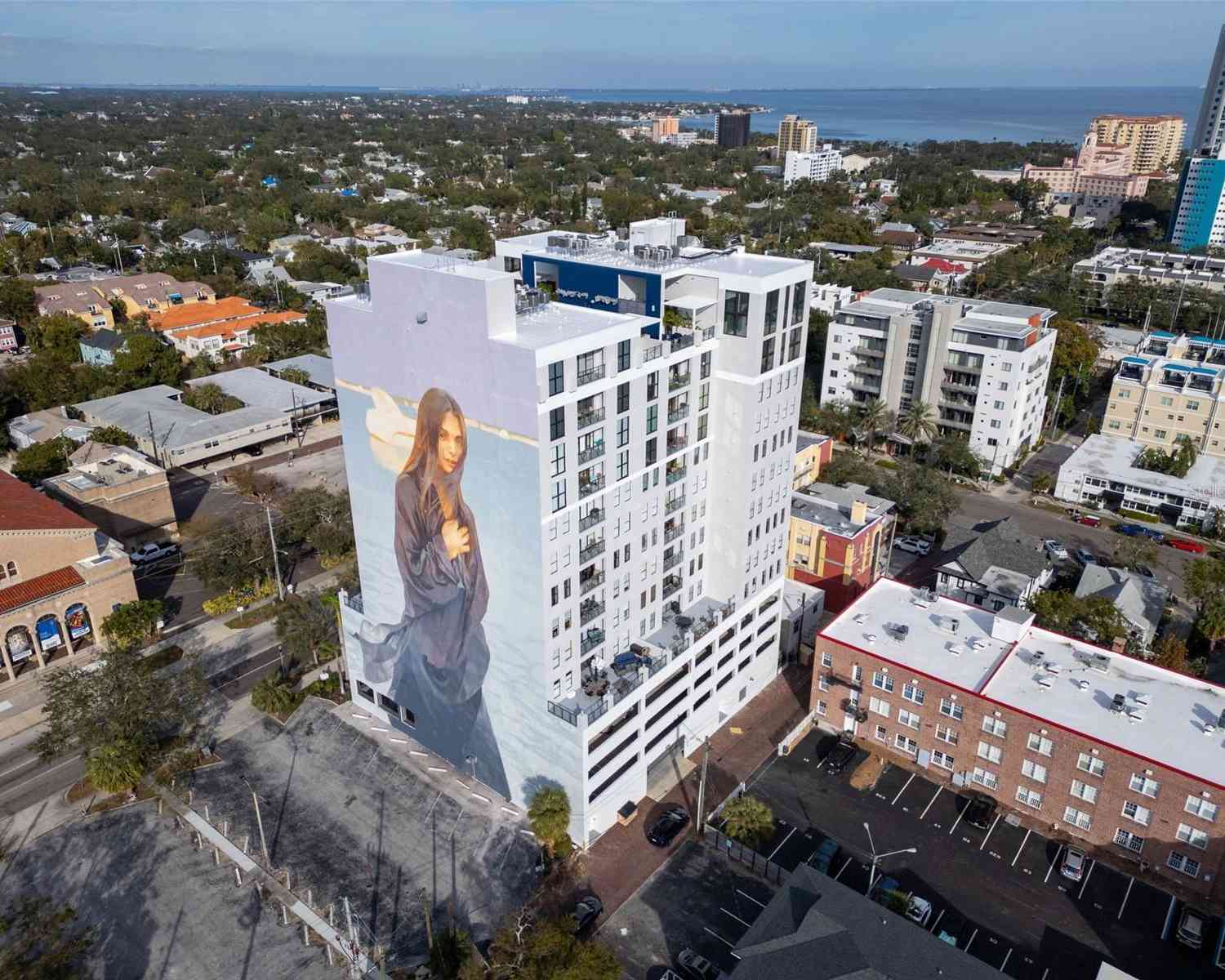 226 5th Avenue #706, Saint Petersburg, Florida image 8