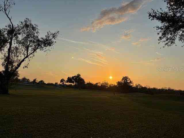 1433 Emerald Hill Way, VALRICO, Florida image 41