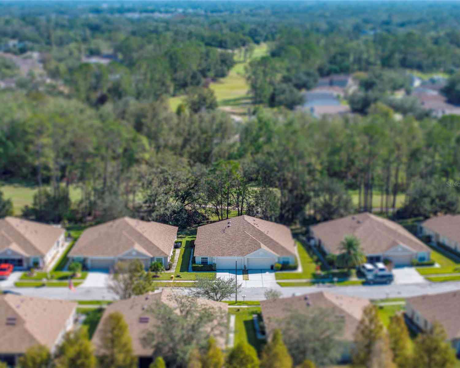 5726 Autumn Shire Drive, ZEPHYRHILLS, Florida image 10