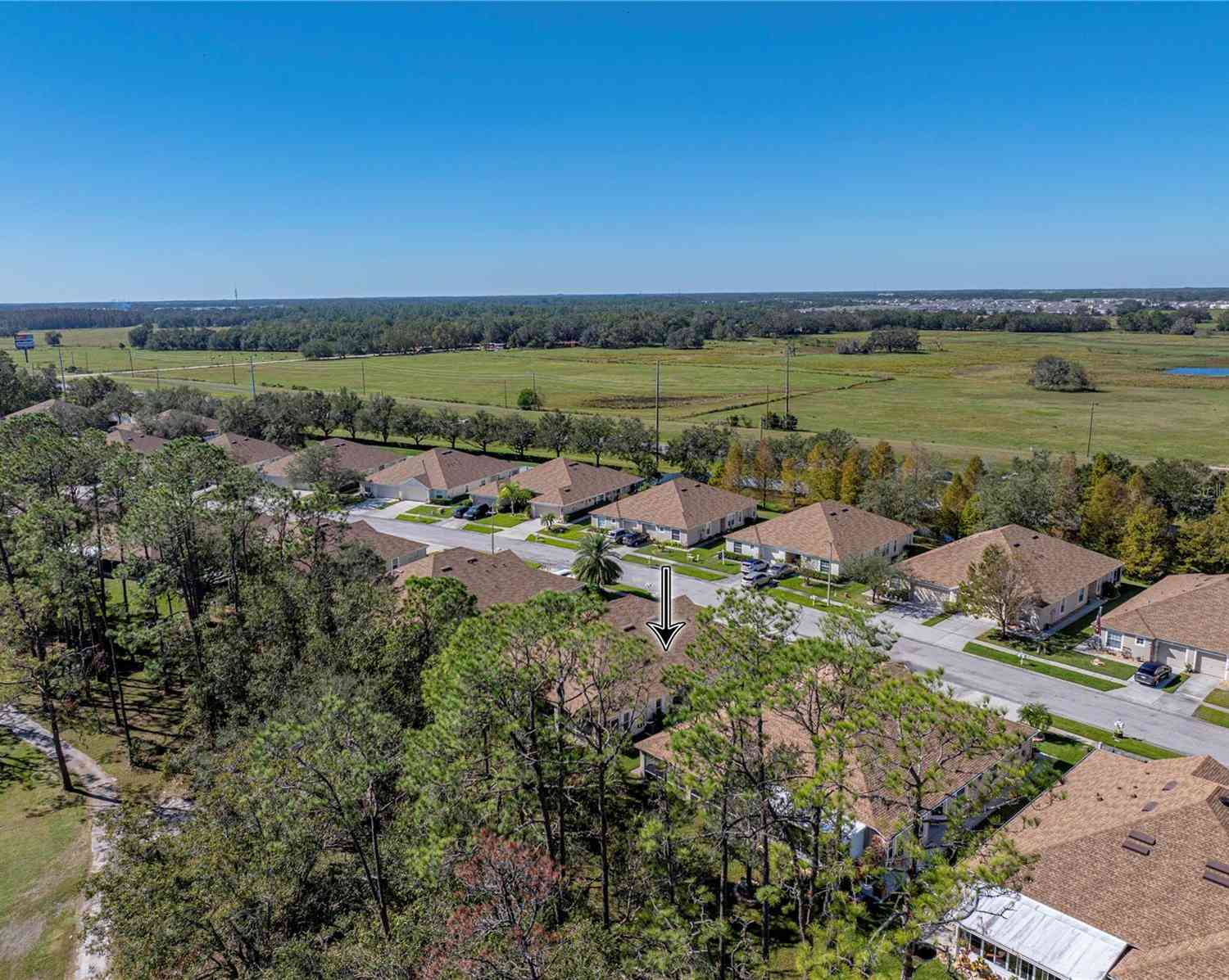 5726 Autumn Shire Drive, ZEPHYRHILLS, Florida image 8