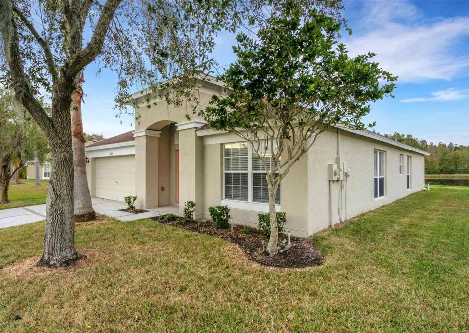 31115 Hannigan Place, Wesley Chapel, Florida image 1