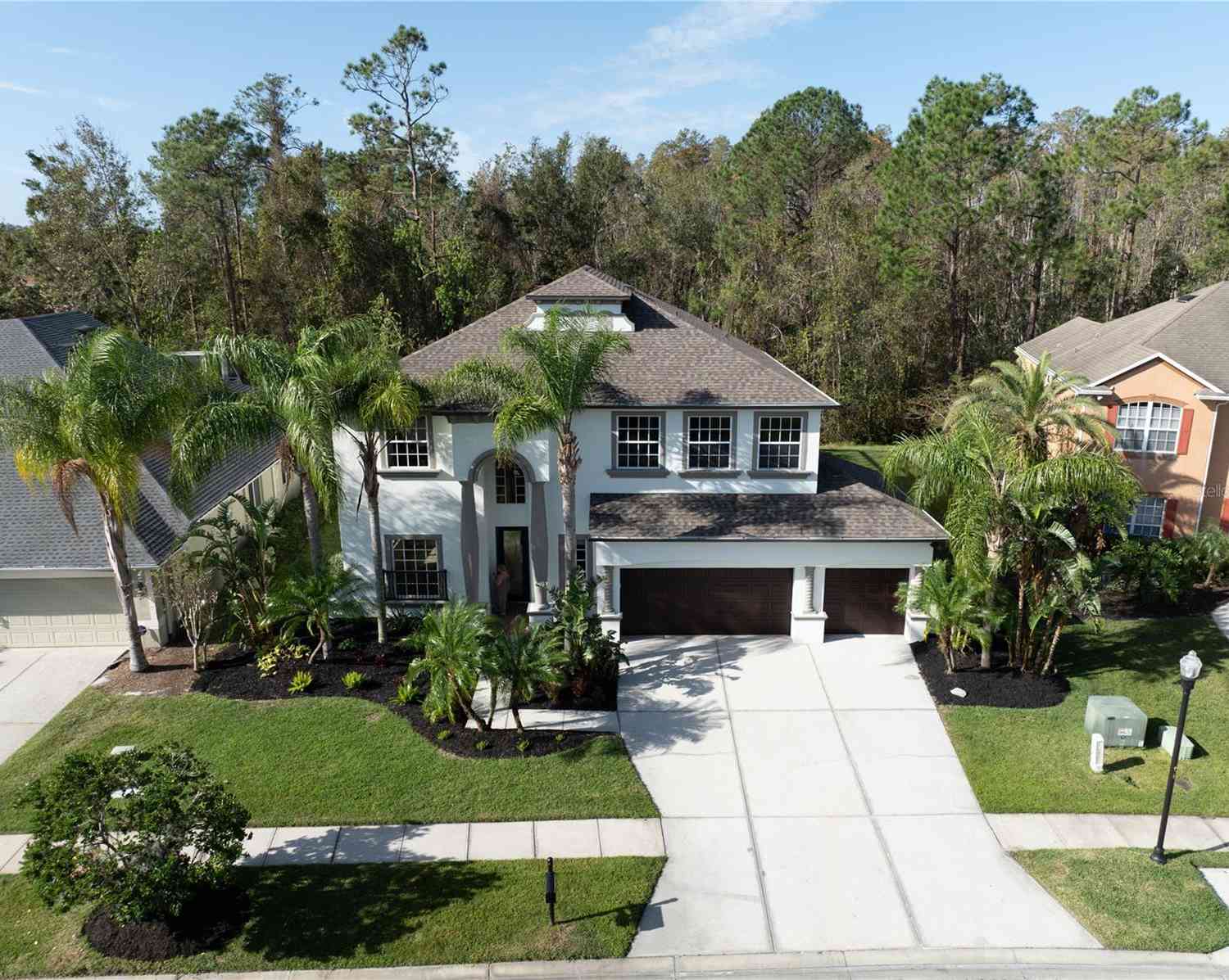 3405 3405 Loggerhead Way Way, Wesley Chapel, Florida image 1