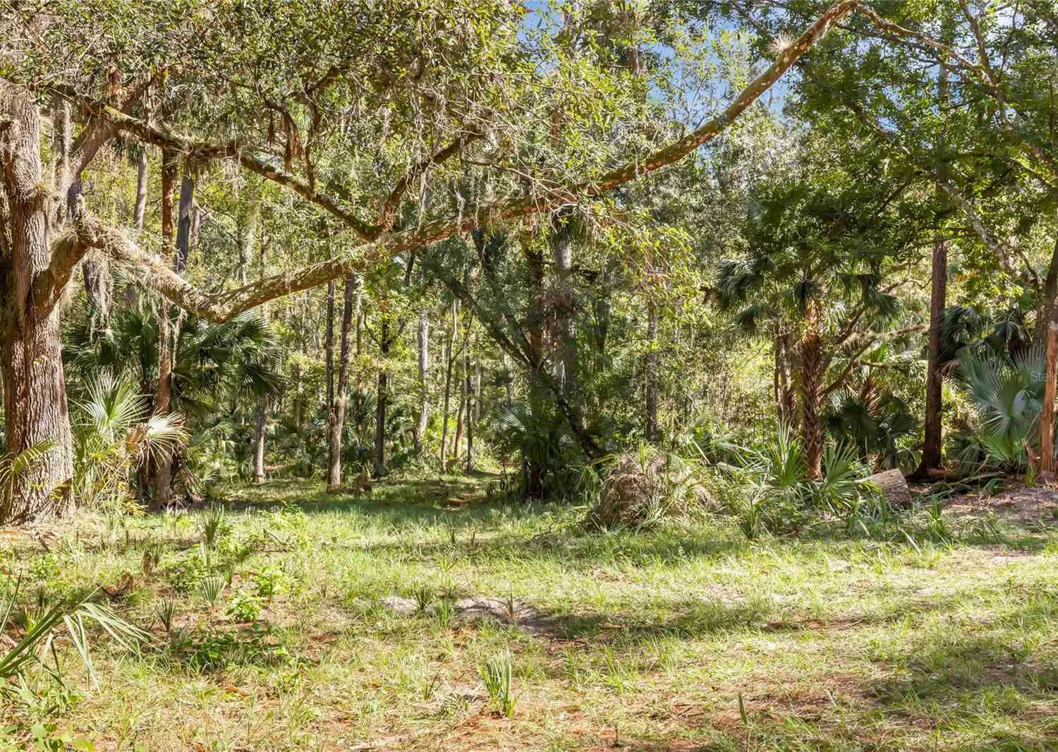 Bronson Road, SORRENTO, Florida image 8