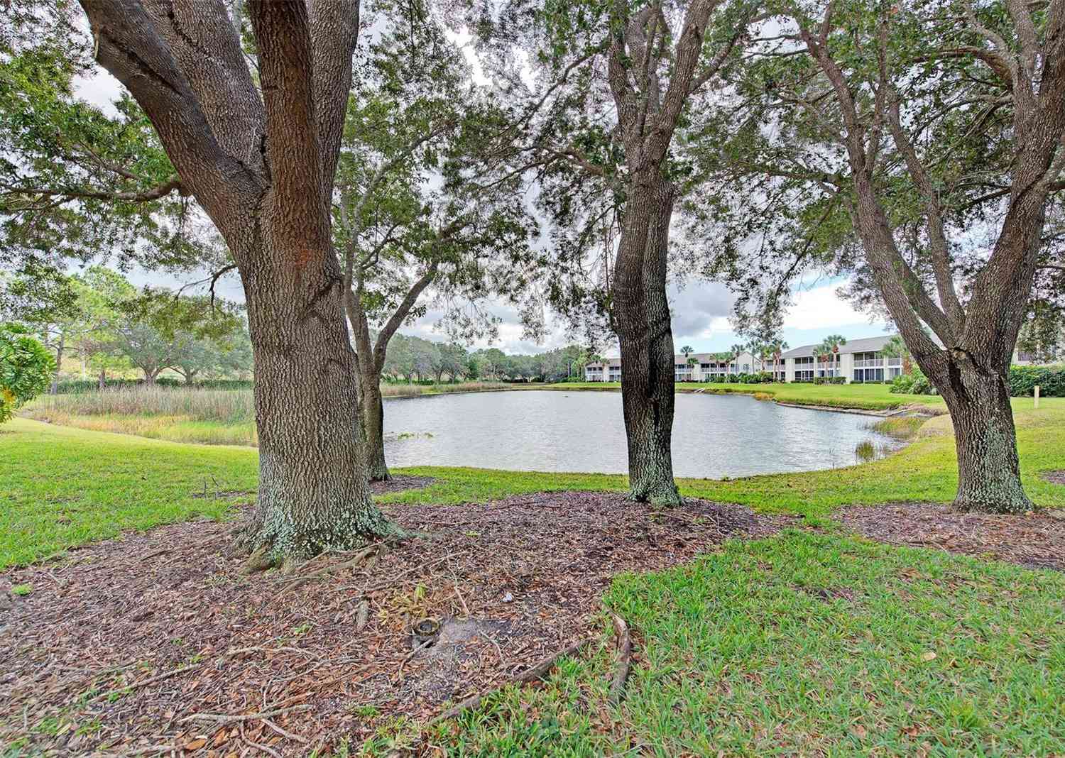 404 Laurel Lake Drive #102, VENICE, Florida image 42