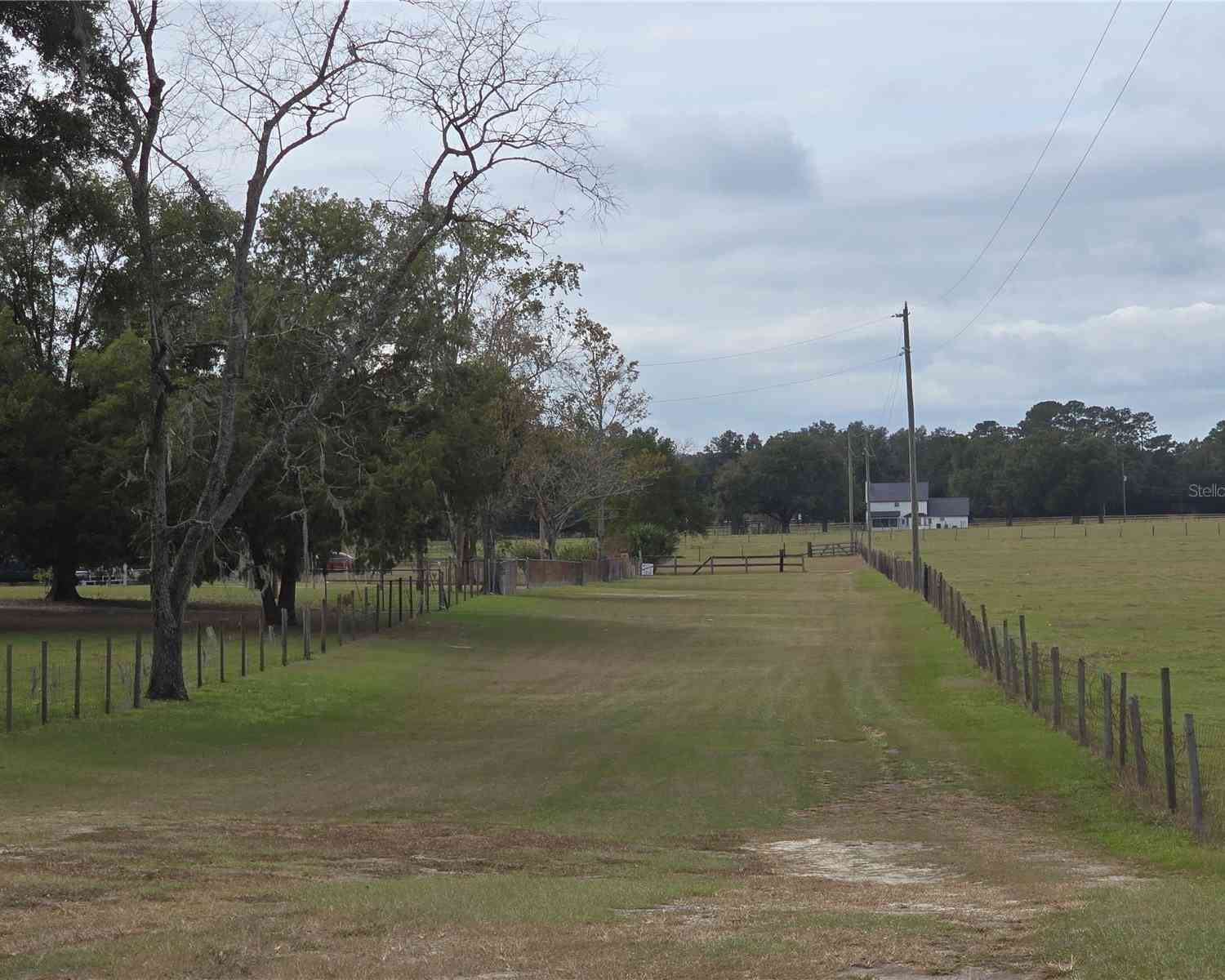 16948 SE 19th Court, SUMMERFIELD, Florida image 30