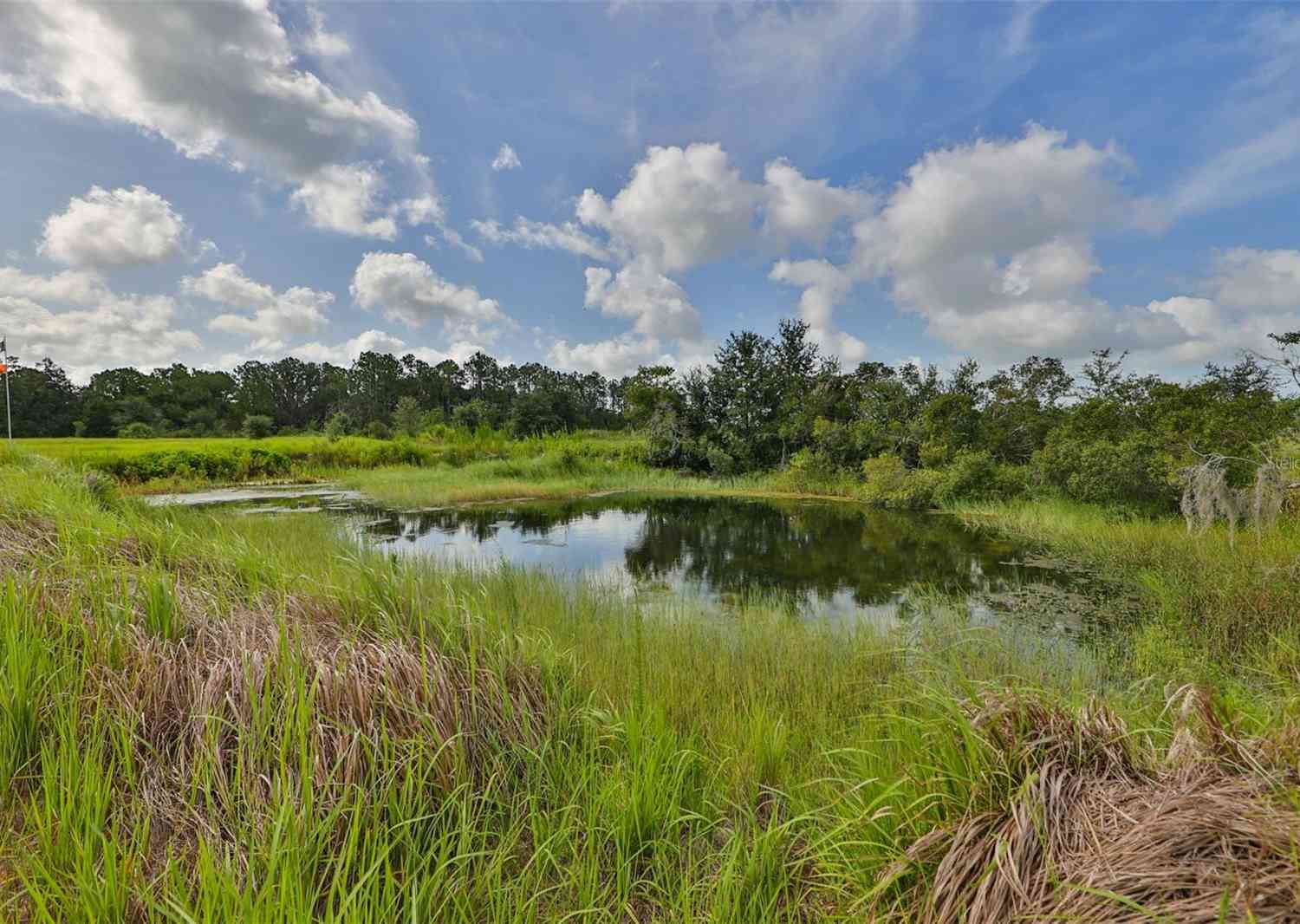 19212 Grange Hall Loop, WIMAUMA, Florida image 36