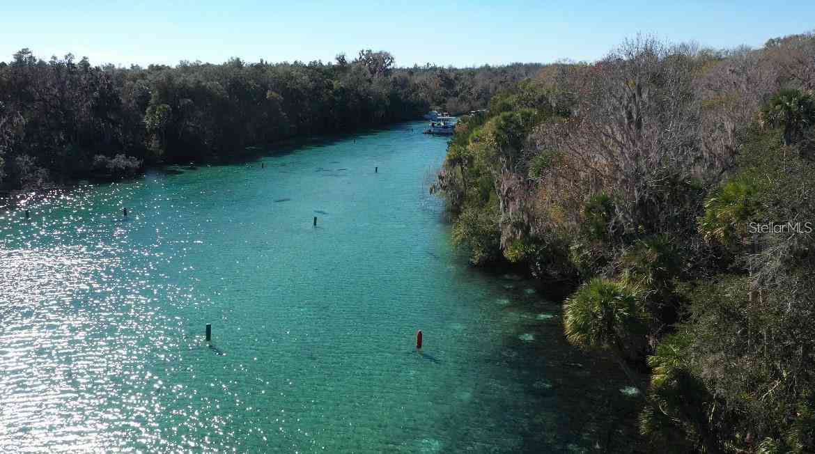 1640 Juno Trail #205A, ASTOR, Florida image 7