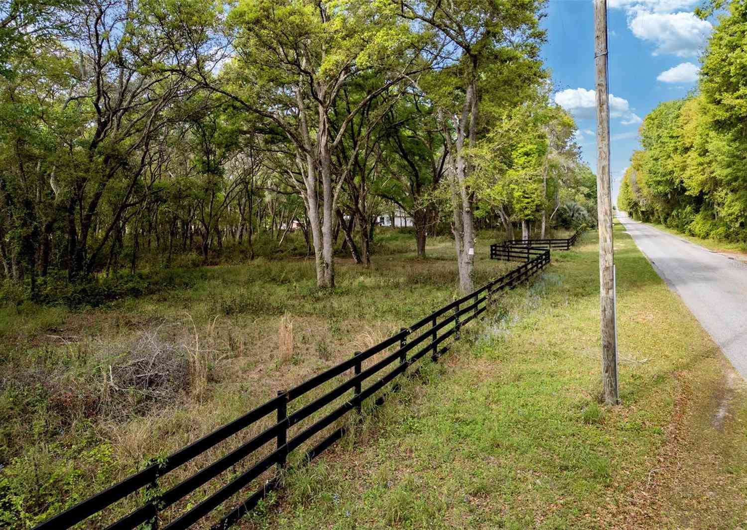 Griffin View Drive, LADY LAKE, Florida image 4