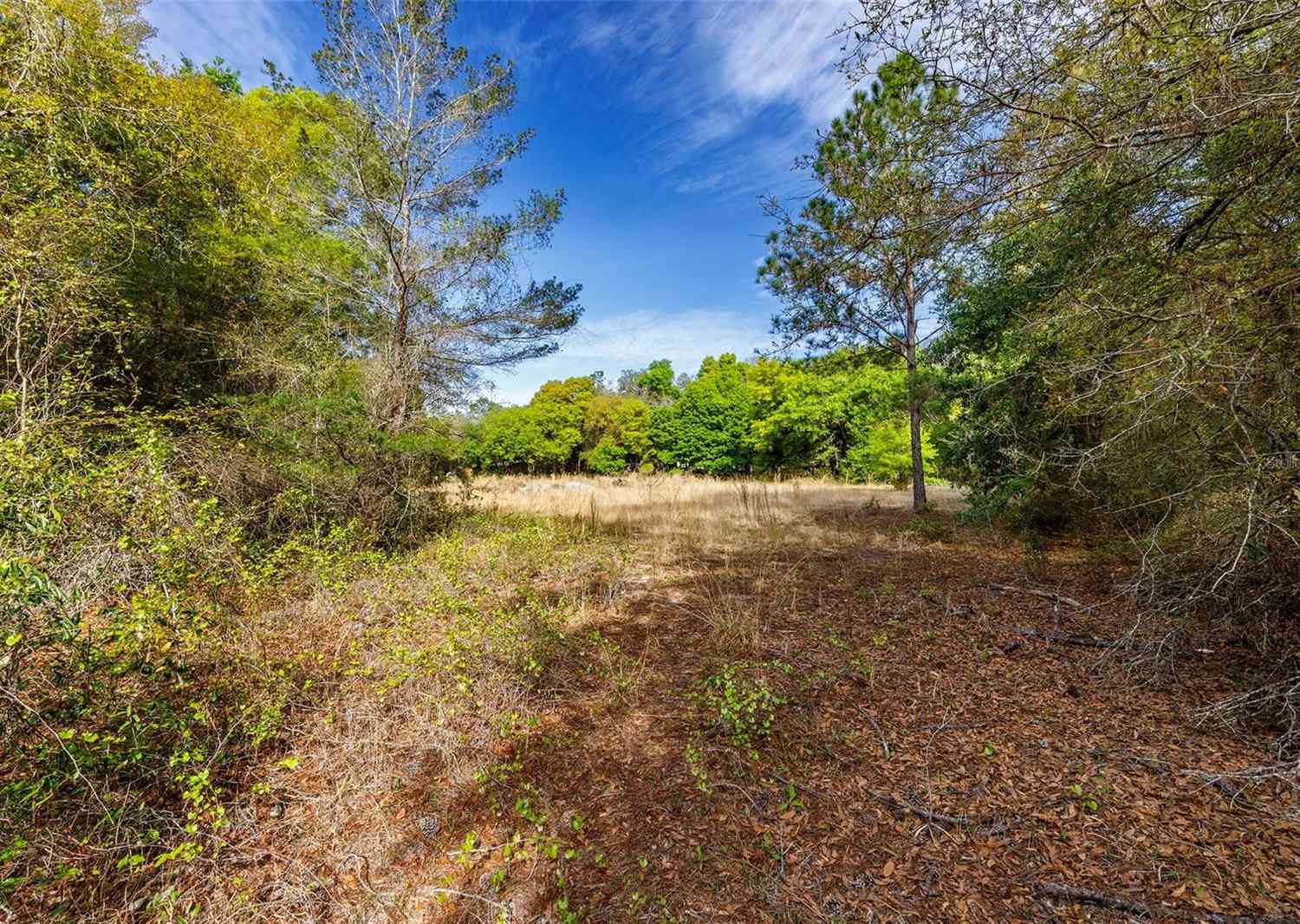 Griffin View Drive, LADY LAKE, Florida image 13