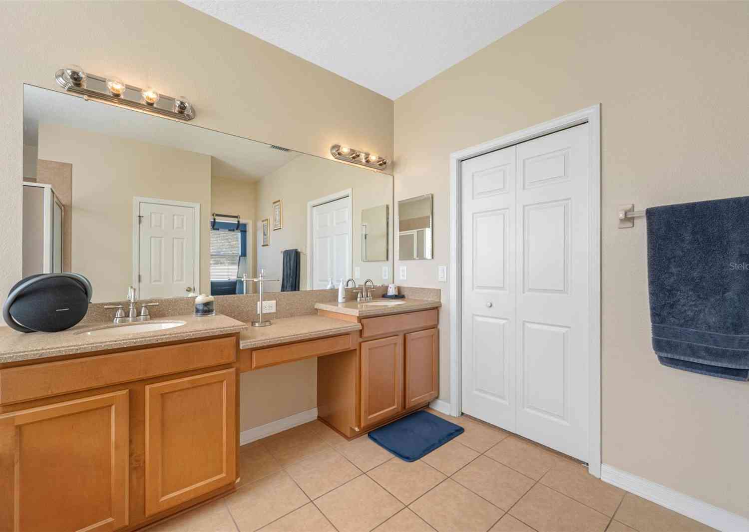 7343 Forest Mere Drive, RIVERVIEW, Florida image 38