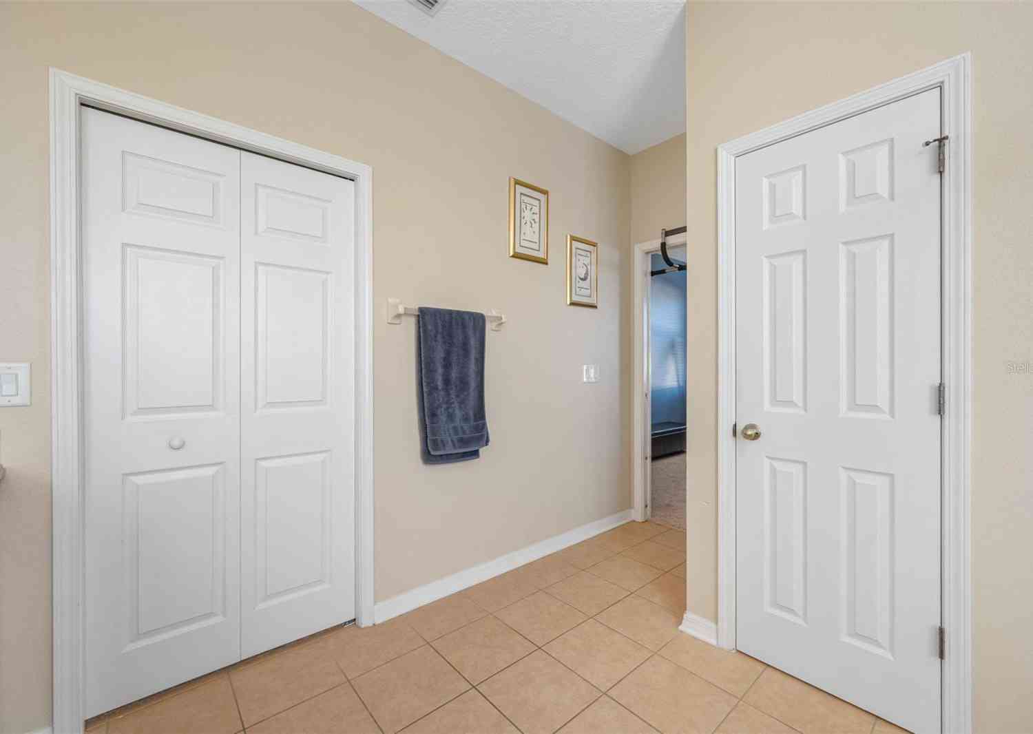 7343 Forest Mere Drive, RIVERVIEW, Florida image 39