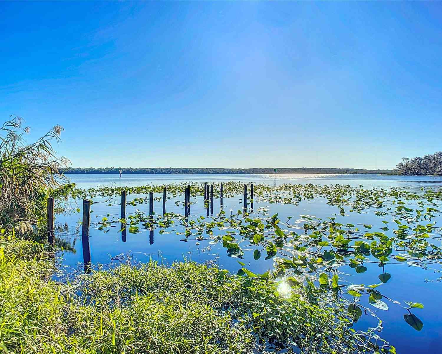 2239 River Ridge Road, DELAND, Florida image 37