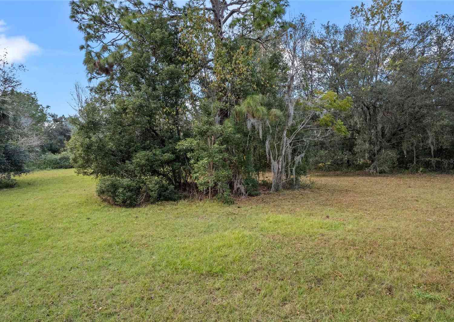 21444 Rollingwood Trail, EUSTIS, Florida image 27