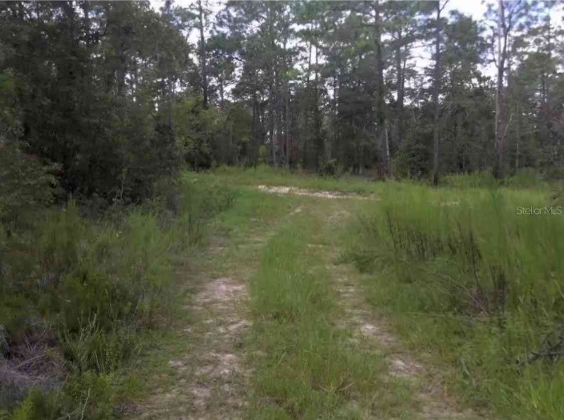 Lot 16 Sw 25th Pl, OCALA, Florida image 1