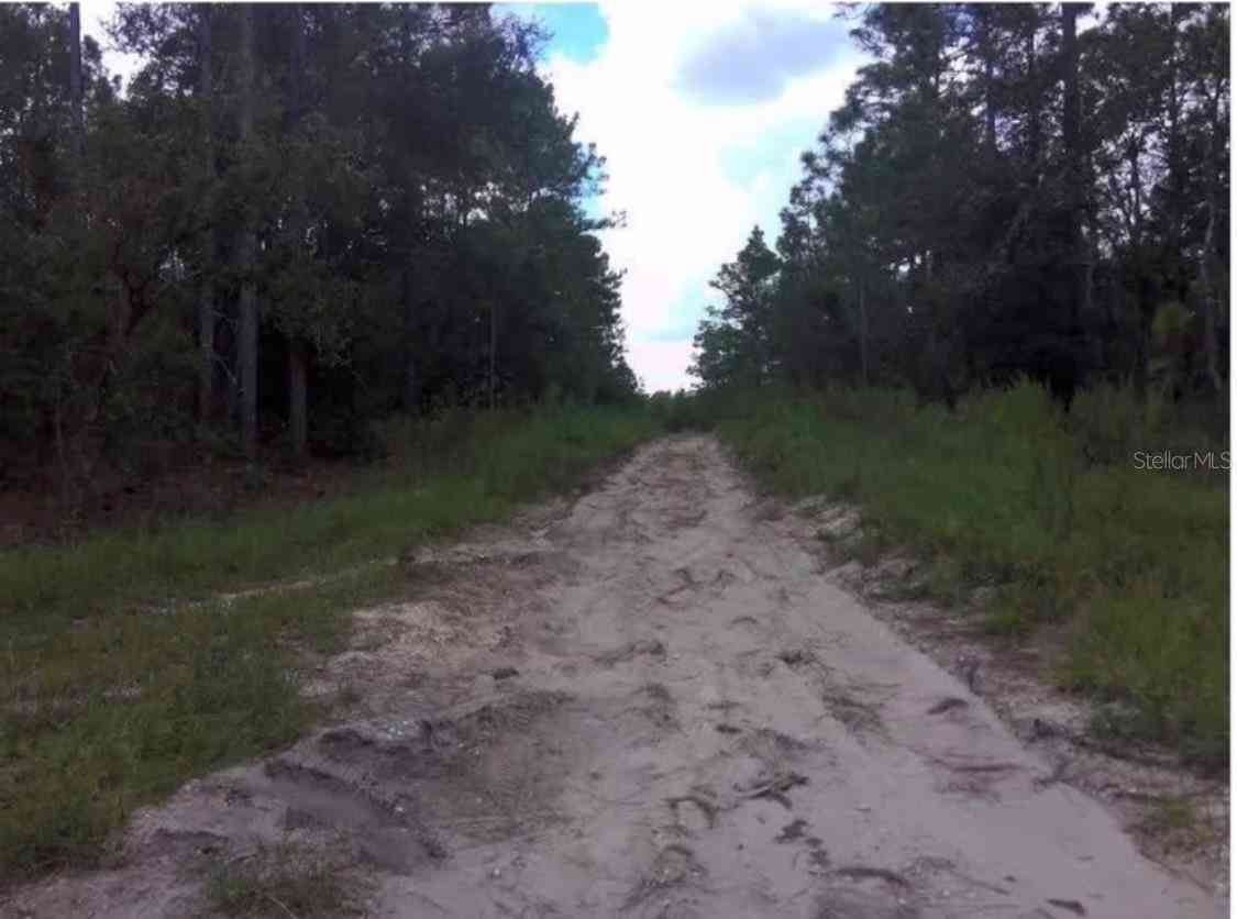 Lot 16 Sw 25th Pl, OCALA, Florida image 4