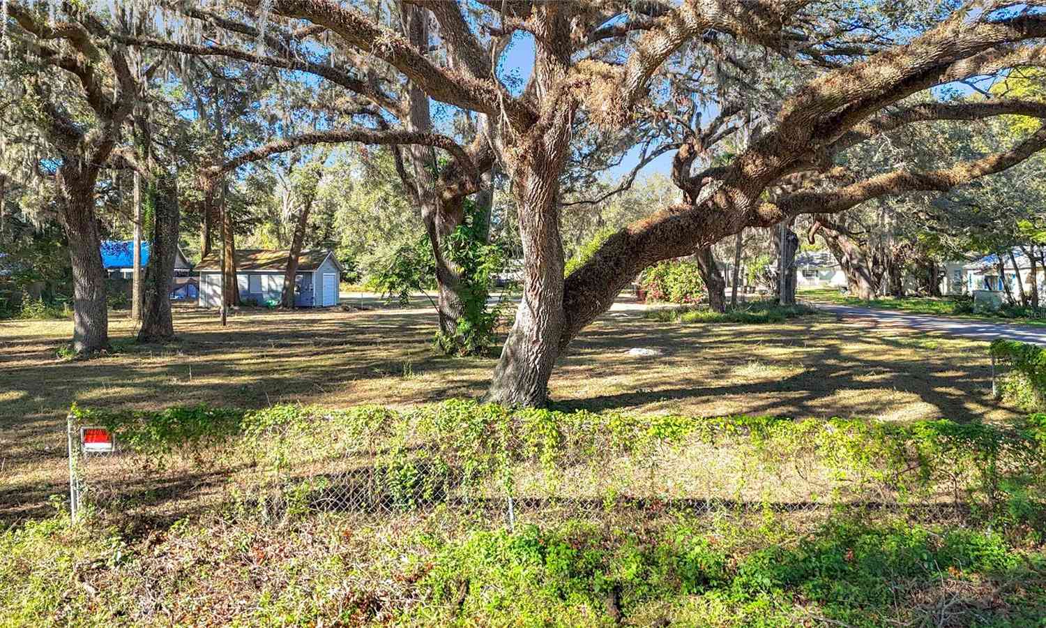 38348 Stebbins Avenue, ZEPHYRHILLS, Florida image 9