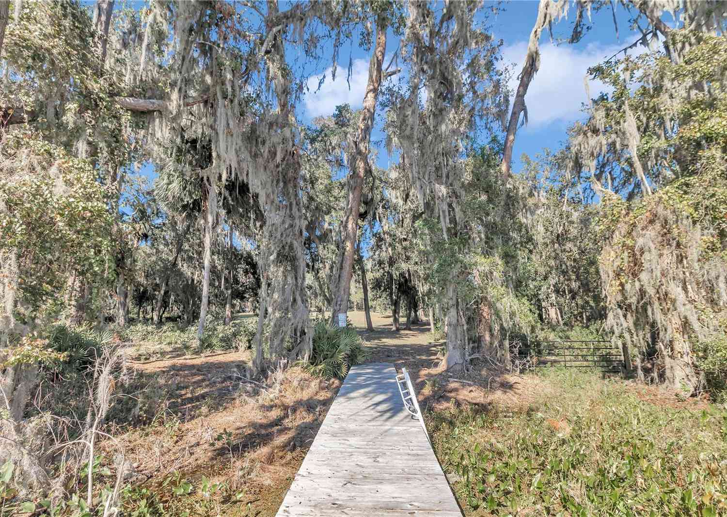 17830 NE 49th Street Road, SILVER SPRINGS, Florida image 12