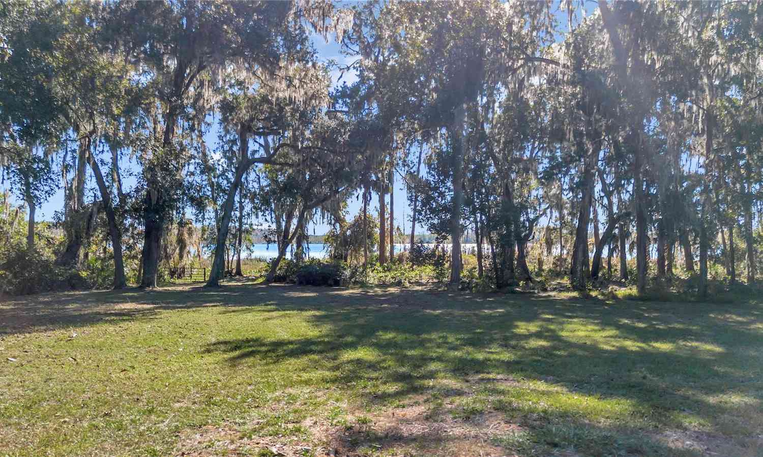 17830 NE 49th Street Road, SILVER SPRINGS, Florida image 7