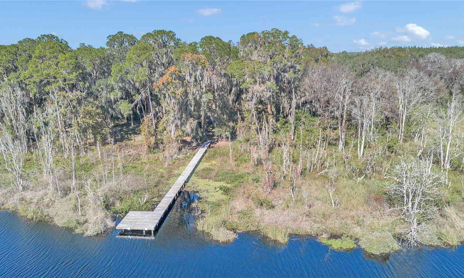 17830 NE 49th Street Road, SILVER SPRINGS, Florida image 18