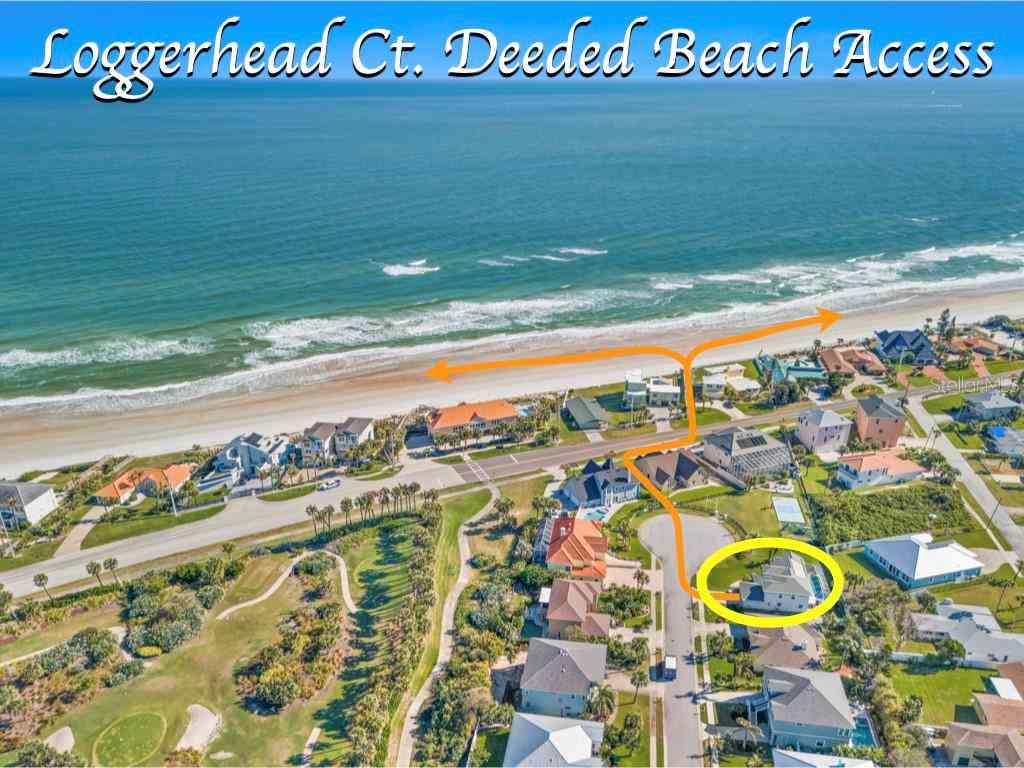 37 Loggerhead Court, PONCE INLET, Florida image 2