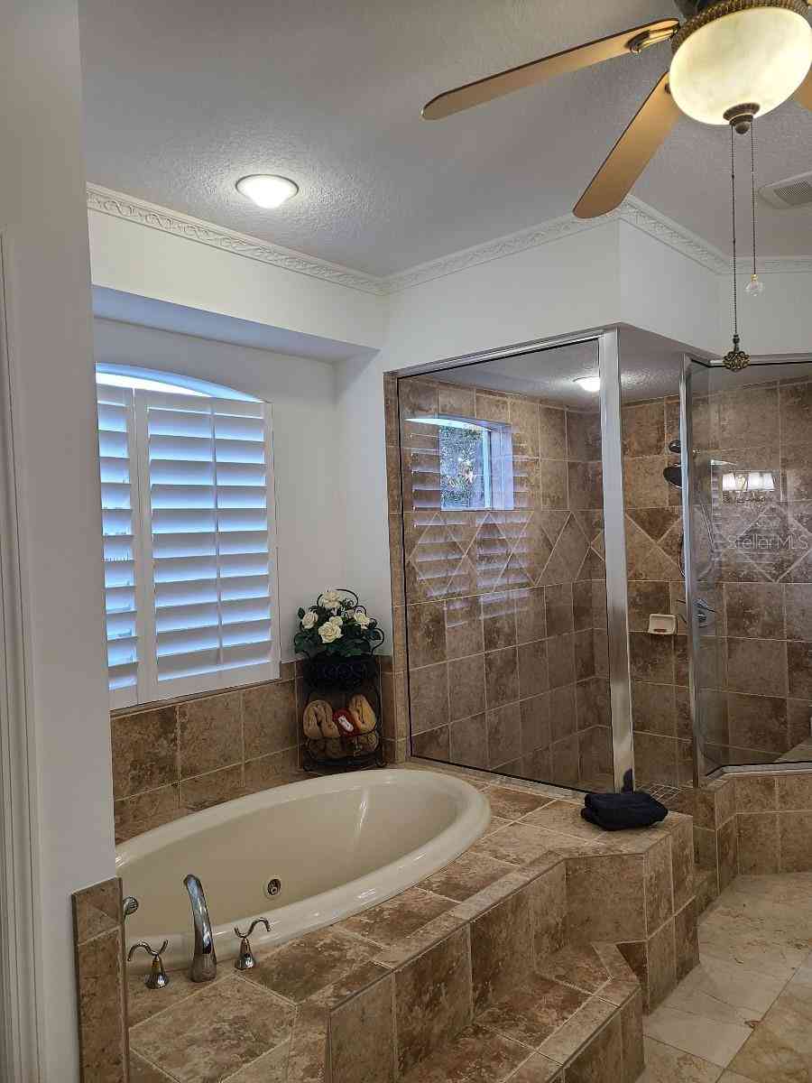 10628 Pontofino Circle, TRINITY, Florida image 10