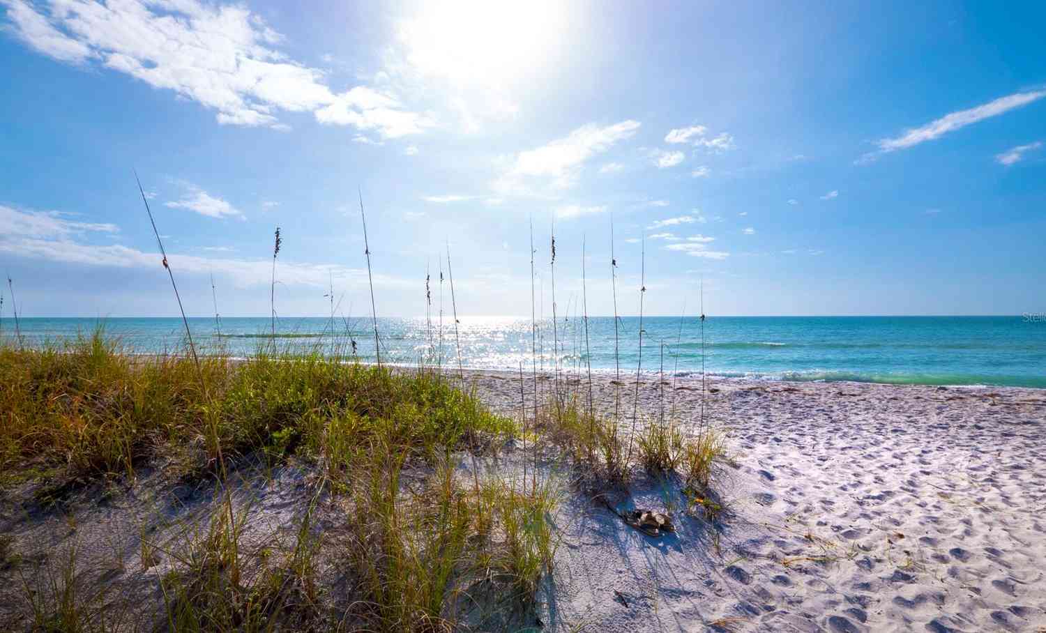 1932 Harbourside Drive #242, LONGBOAT KEY, Florida image 49