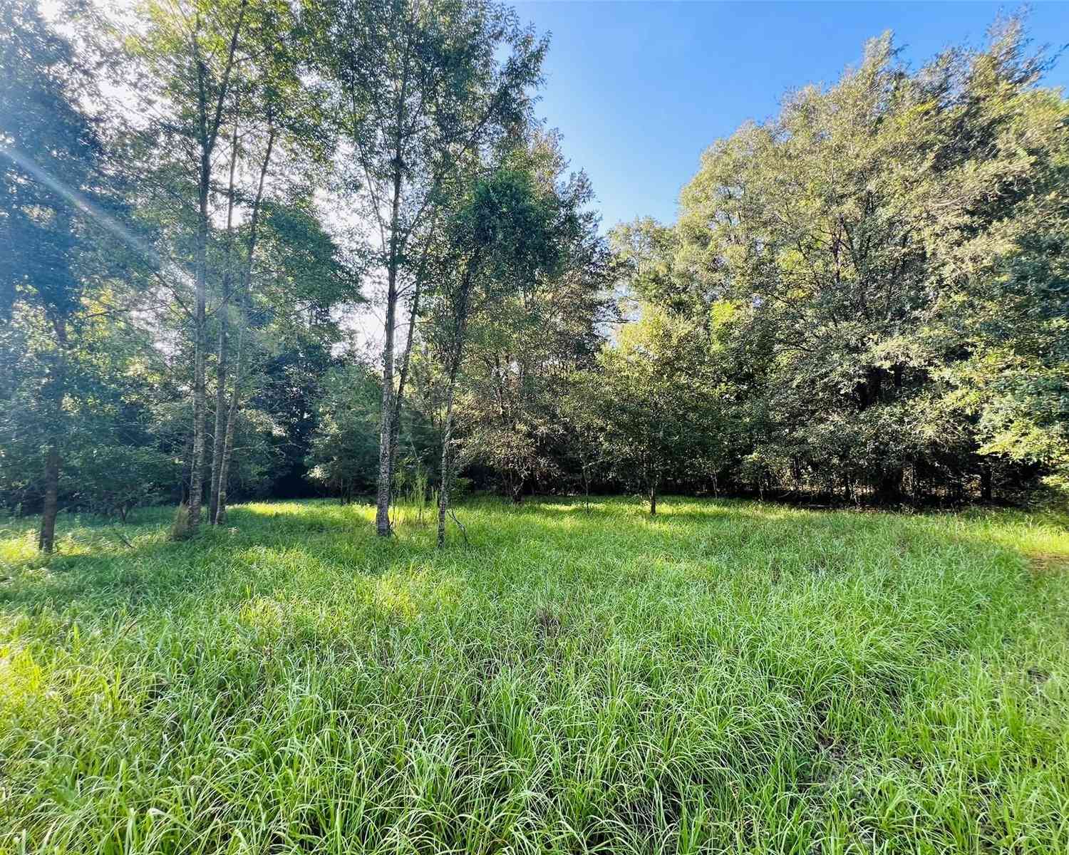 Lot A NW 257th Terrace, HIGH SPRINGS, Florida image 3