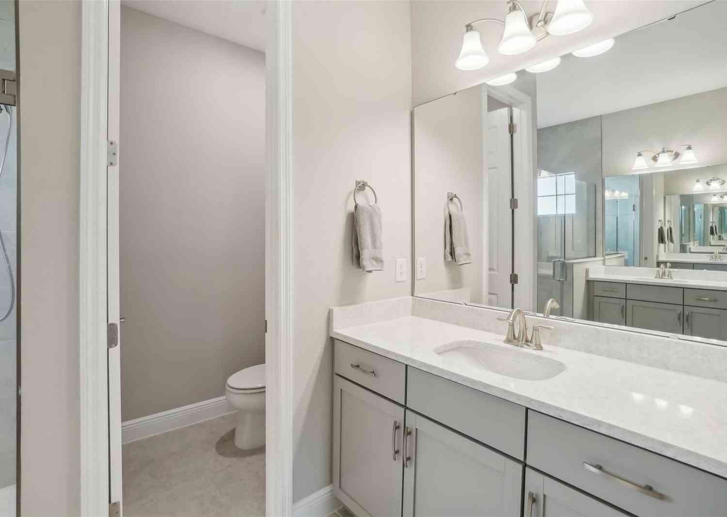 8303 Dove Bog Terrace, PARRISH, Florida image 25