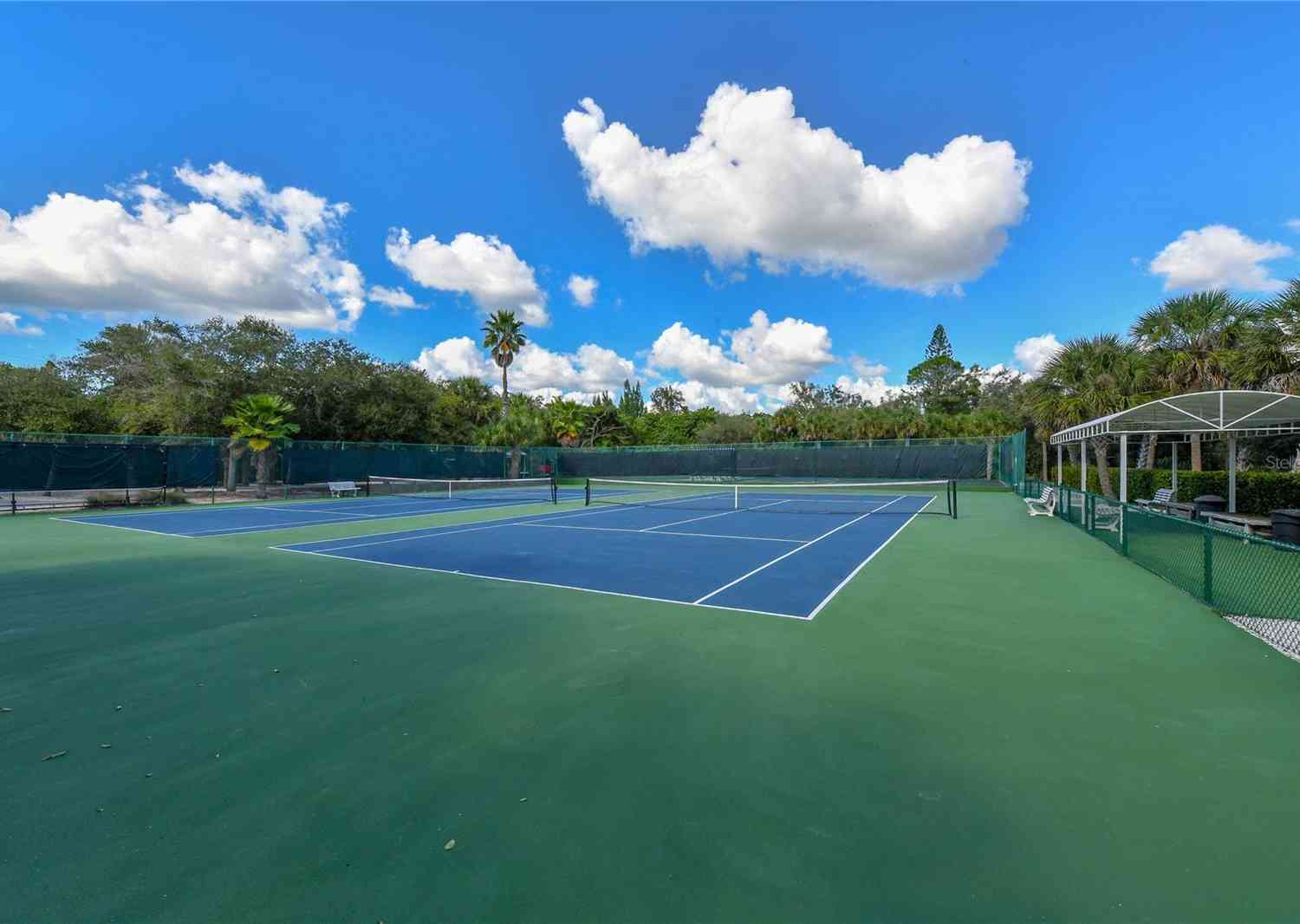 1249 S Basin Lane, SARASOTA, Florida image 35
